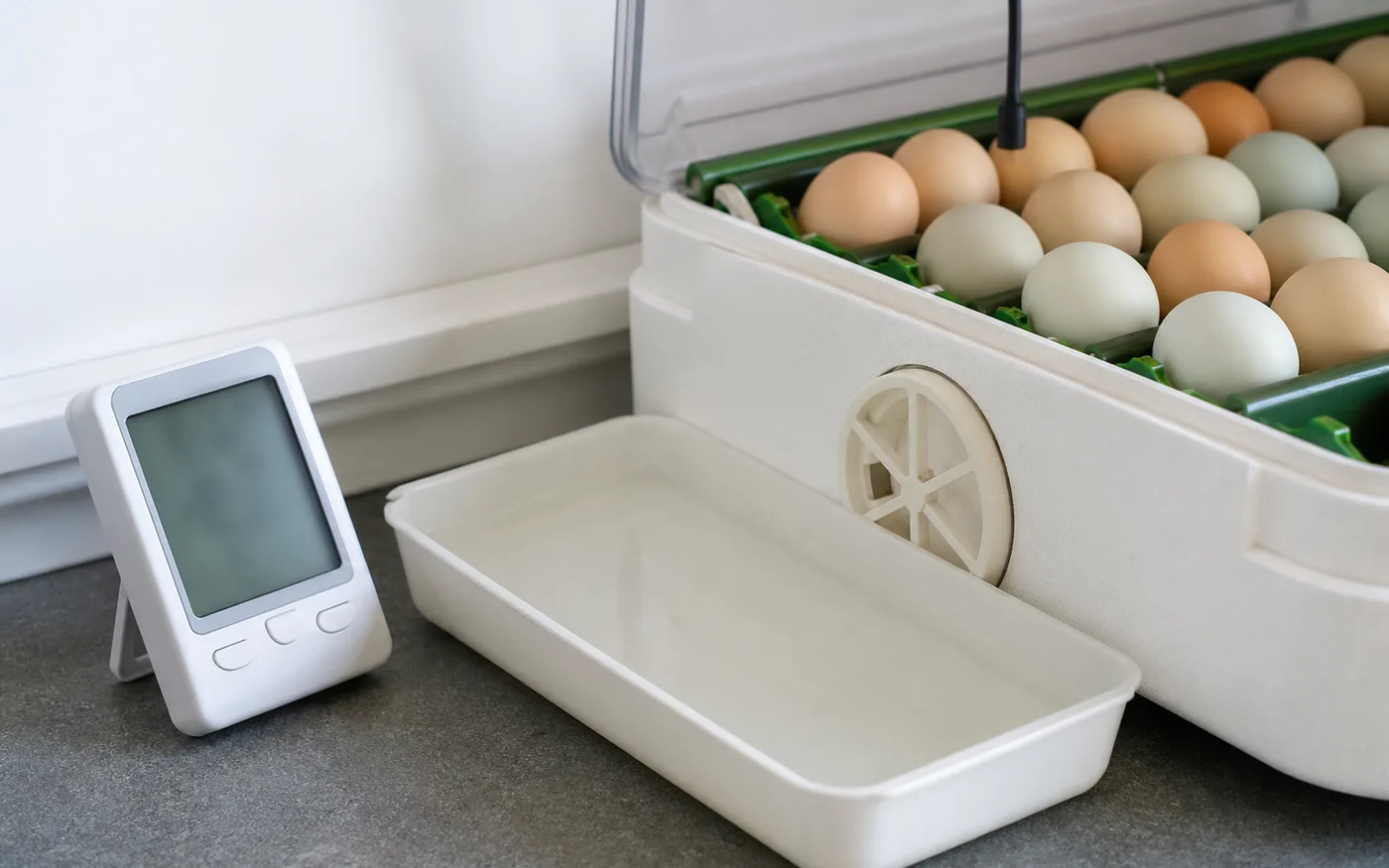 A thermometer beside an incubator and eggs